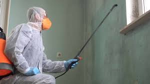 Best Mold Prevention Services  in Denison, IA