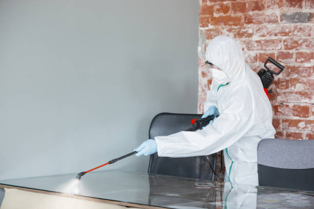 Best Asbestos and Lead Testing During Mold Inspection  in Denison, IA