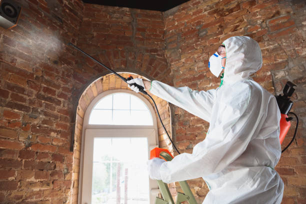 Best Residential Mold Inspection & Testing  in Denison, IA